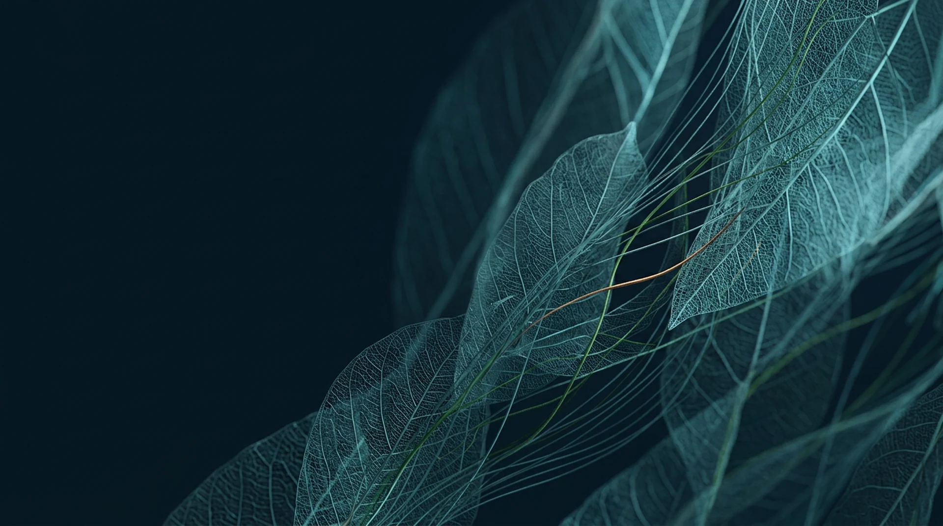 Original abstract composition: translucent leaf-vein structures layered in depth